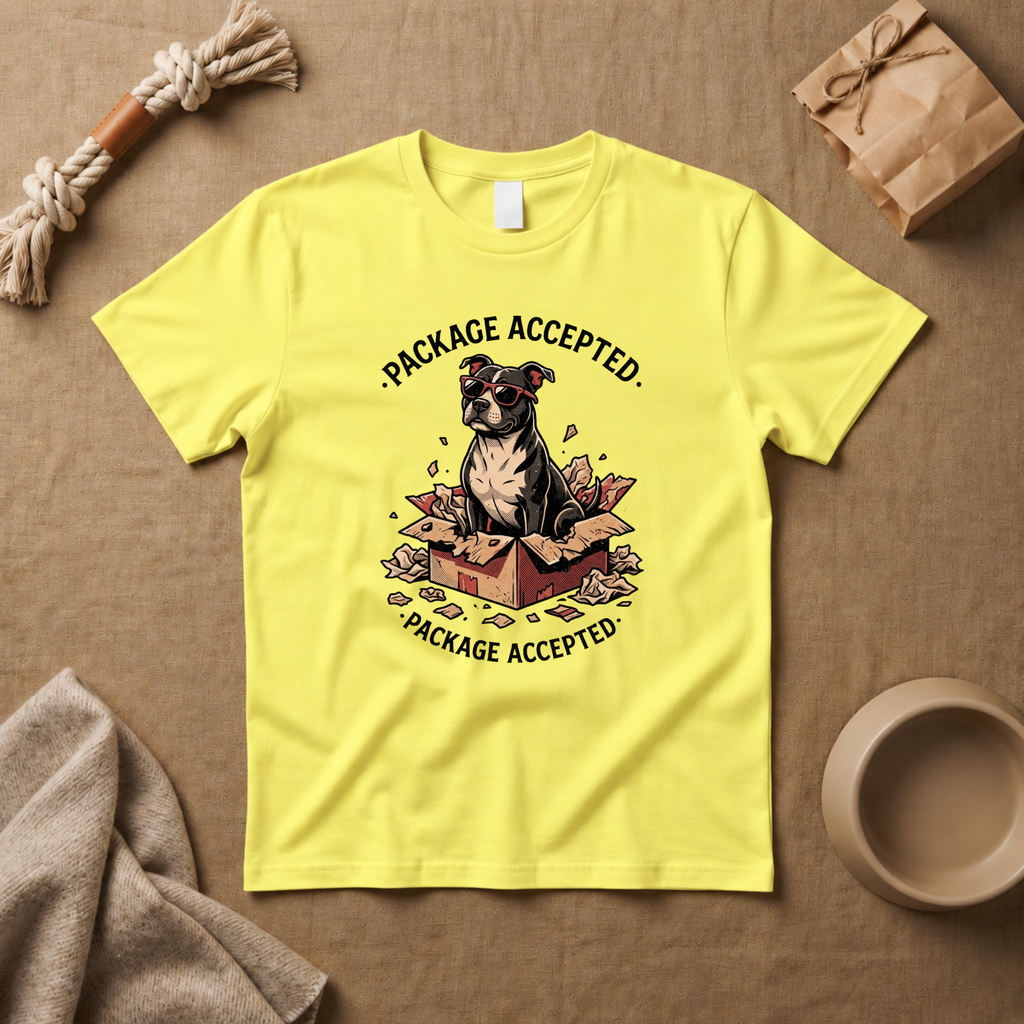 Package Accepted T-Shirt