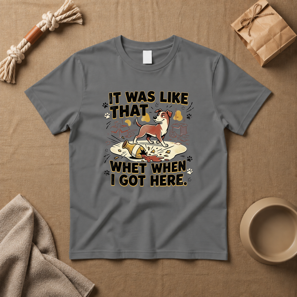 It Was Like That When I Got Here T-Shirt
