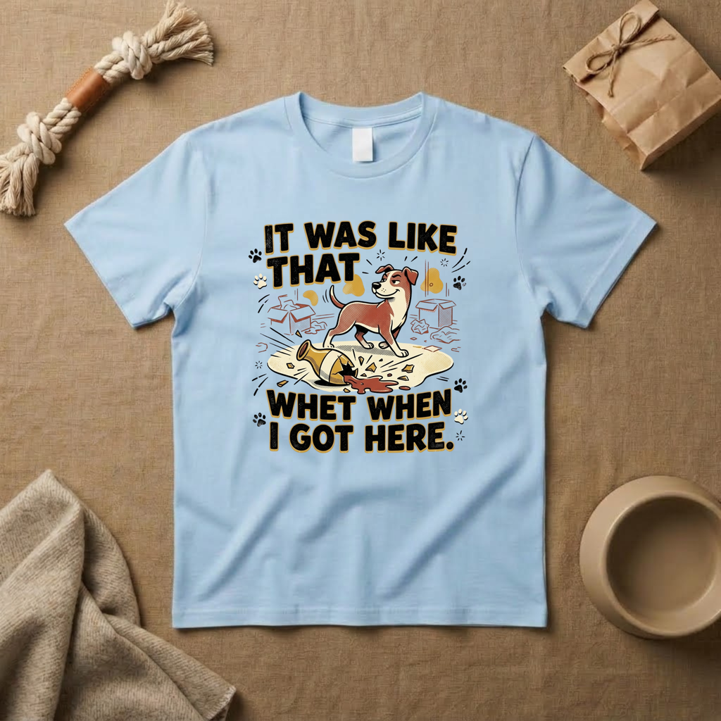 It Was Like That When I Got Here T-Shirt