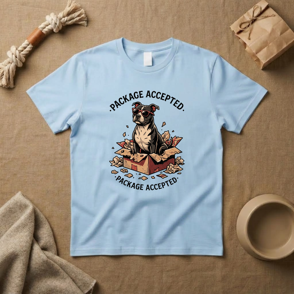 Package Accepted T-Shirt