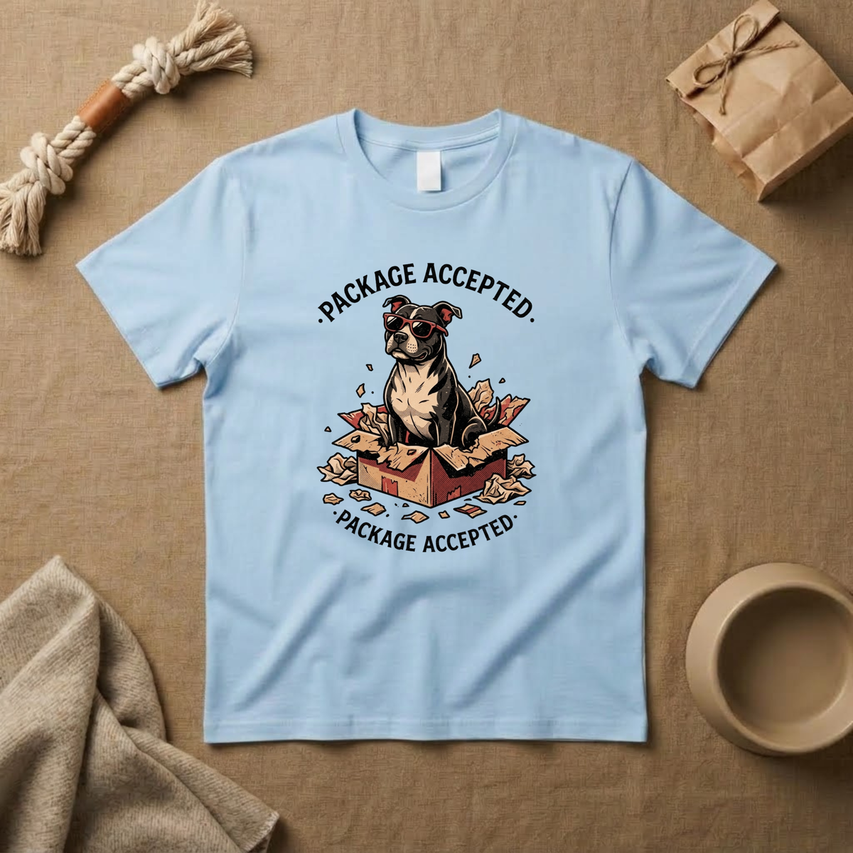 Package Accepted T-Shirt