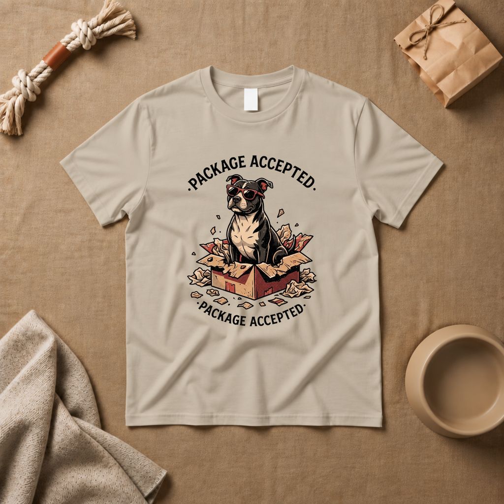 Package Accepted T-Shirt